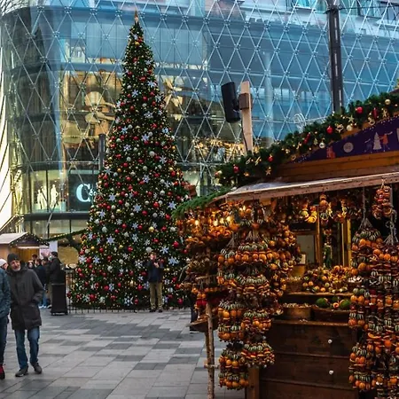 Révay 6 By Corall *